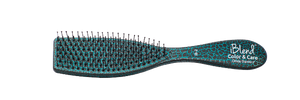 CEP PLANO TEAL 1B-2 Costa Rica