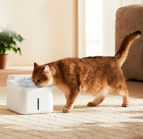 Cat drinking from XIAOMI SMART PET FOUNTAIN 2 BLANCO in a cozy living room.