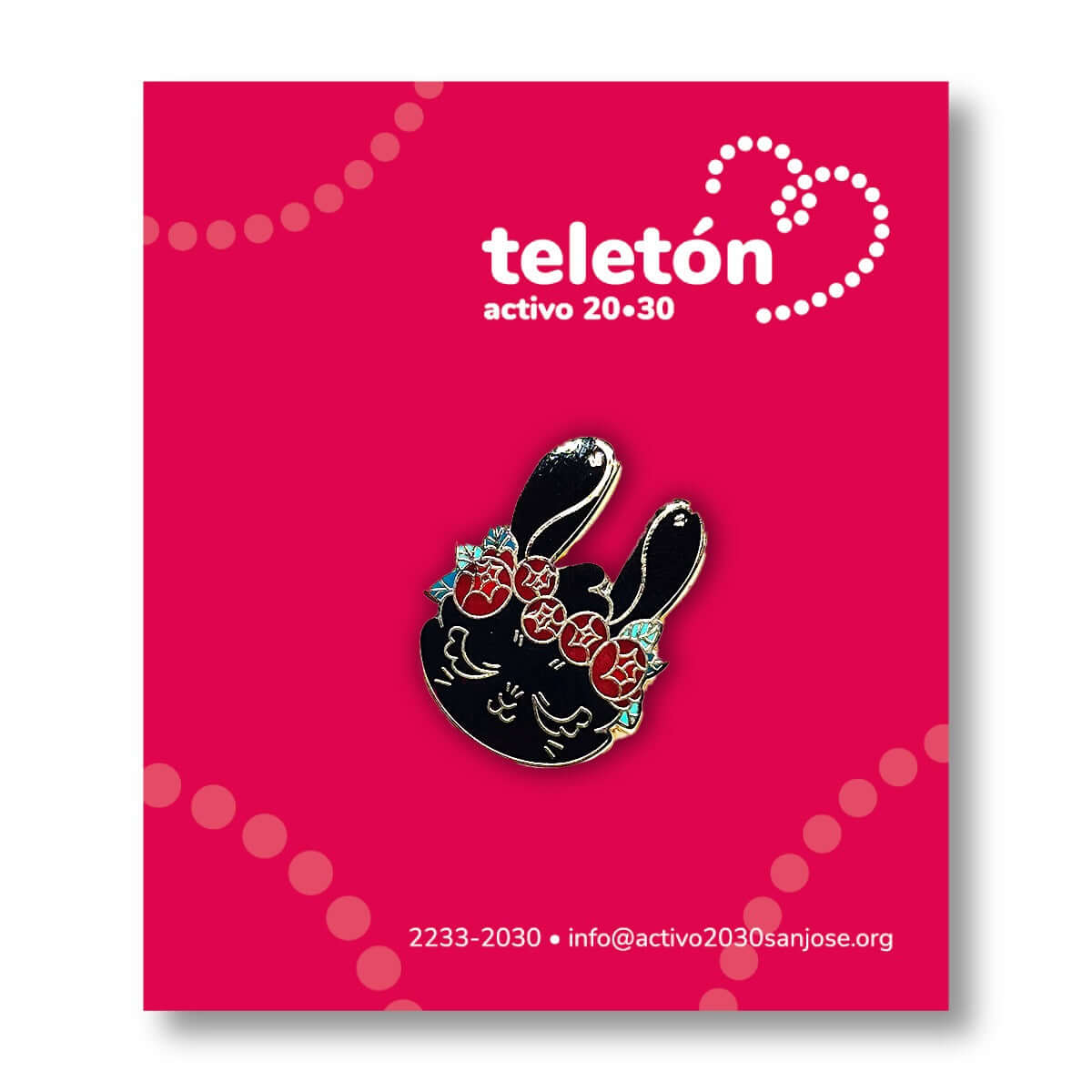 Pin Teletón donár Costa Rica