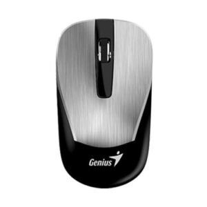 Mouse Genius Rs2 Eco-8015 Silver 31030011411