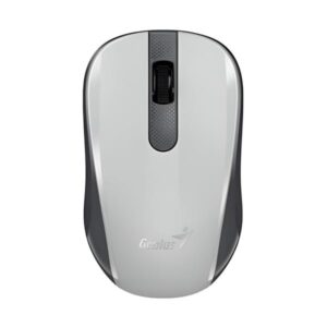 MOUSE GENIUS RS2 NX-8008S WHITE+GRAY 31030028403