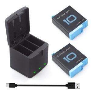 GO PRO Battery HERO 10 TWIN PACK