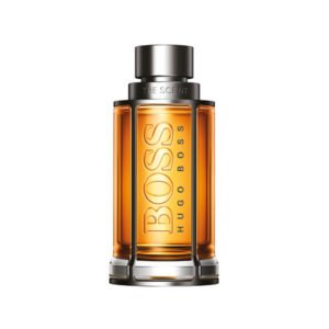 hugo boss the scent edt 100 ml man