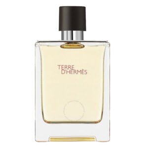 Terre D hermes edt 100ml Men