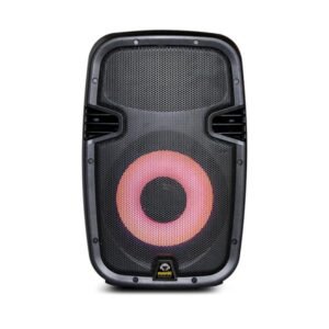 Parlante Bluetooth Moonki Aruba Sound 10" Karaoke Potencia Pmpo 1600W Con Microfono Negro Ms-1600B