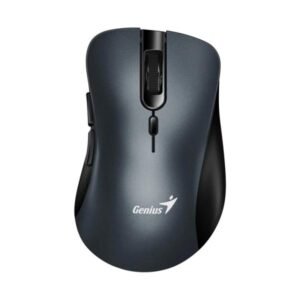 Mouse Genius Rs2 Ergo8100S Iron Gris 31030040401